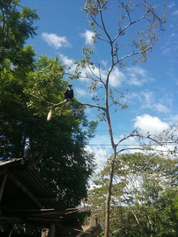 Lake Nkuruba Nature Reserve Hotel Durama Ngoại thất bức ảnh